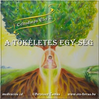 Tökéletes egység meditációs cd