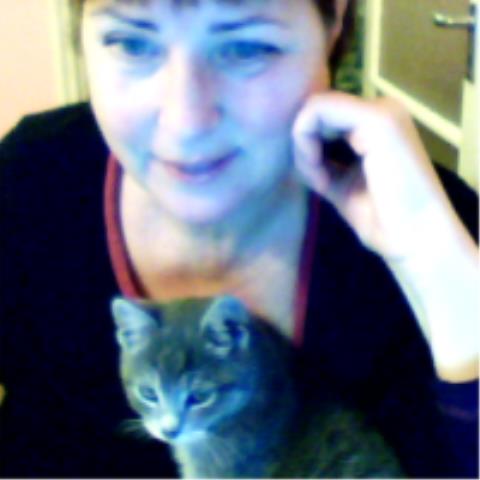 Noszkó Ilona Éva, Erő forrás alternatív gyógyászat, hipnózis, tarot jóslás